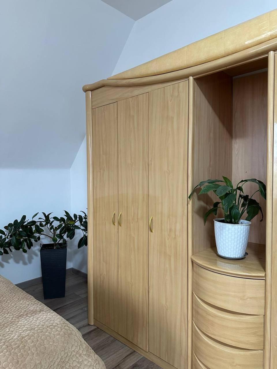 Amanat Guest House Bişkek Dış mekan fotoğraf